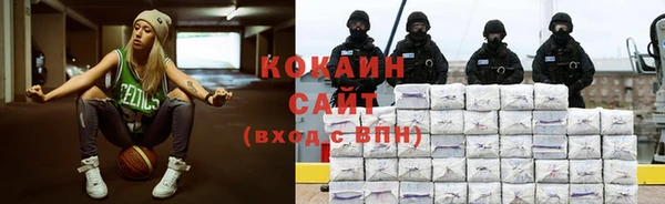индика Ростов