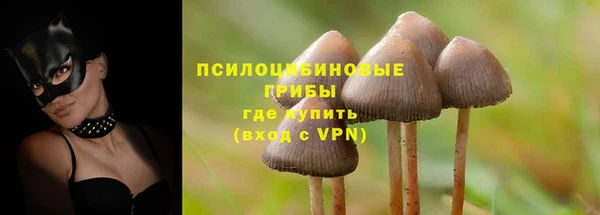 крисы Алексеевка