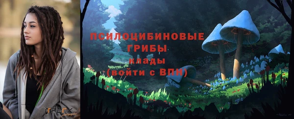 крисы Алексеевка