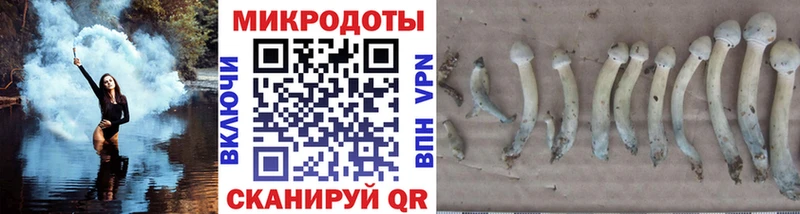blacksprut   где продают   Егорьевск  Галлюциногенные грибы GOLDEN TEACHER 
