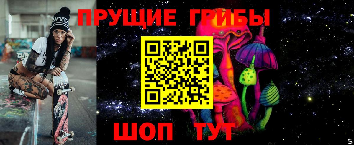 Псилоцибиновые грибы Psilocybe Егорьевск