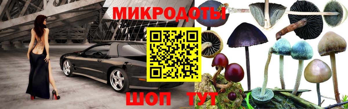 Галлюциногенные грибы MAGIC MUSHROOMS  Вход с VPN  Егорьевск  Псилоцибиновые грибы Magic Shrooms 